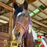 Entry image for Jewel