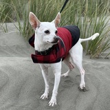 Entry image for Tank