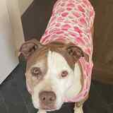 Entry image for Emma Jean