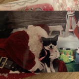 Entry image for Myst