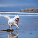 Entry image for Sunshine