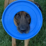 Entry image for Carson