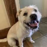 Entry image for Arena 