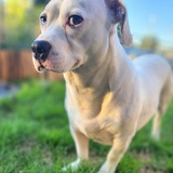 Entry image for Worldwide Handsome