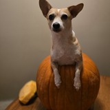 Entry image for Jemma