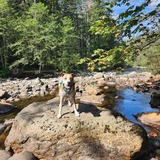 Entry image for Jalapeño Cornbread