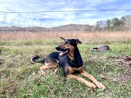 Skye