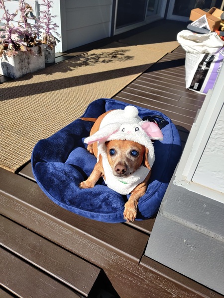 Murphy 