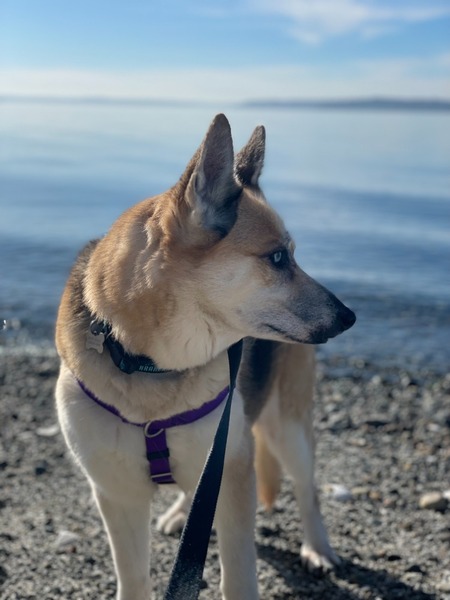 Mia