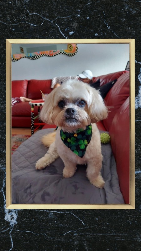 Cooper