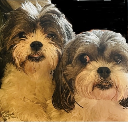 Maggie and Abbey