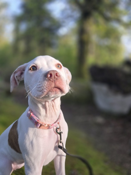 Molly