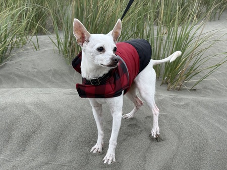 Entry image for Tank. Clicking this image will show a larger photo