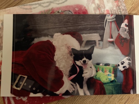 Entry image for Myst. Clicking this image will show a larger photo