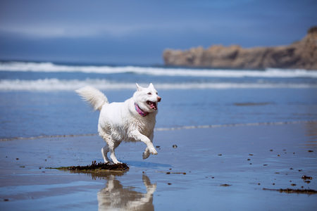 Entry image for Sunshine. Clicking this image will show a larger photo