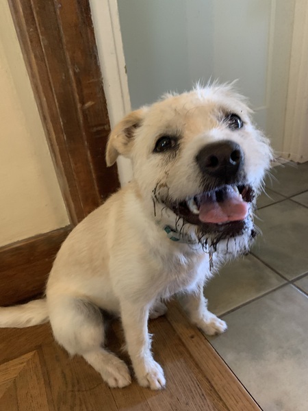 Entry image for Arena . Clicking this image will show a larger photo