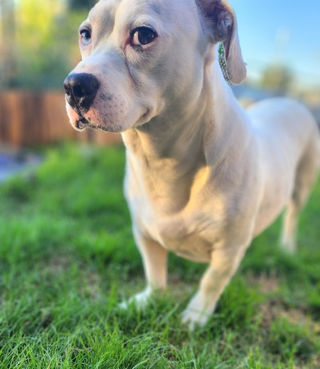 Entry image for Worldwide Handsome. Clicking this image will show a larger photo