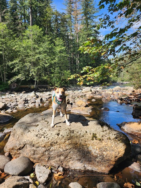 Entry image for Jalapeño Cornbread. Clicking this image will show a larger photo