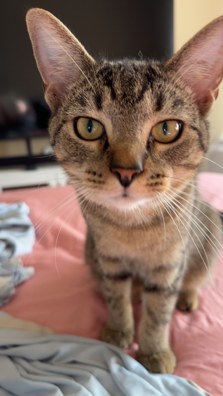 Luka