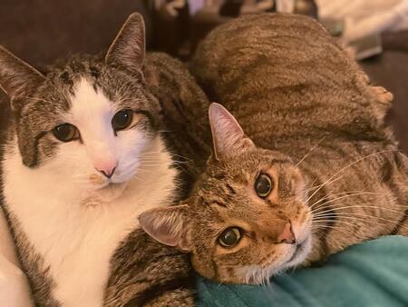 Dexter and Cocoa