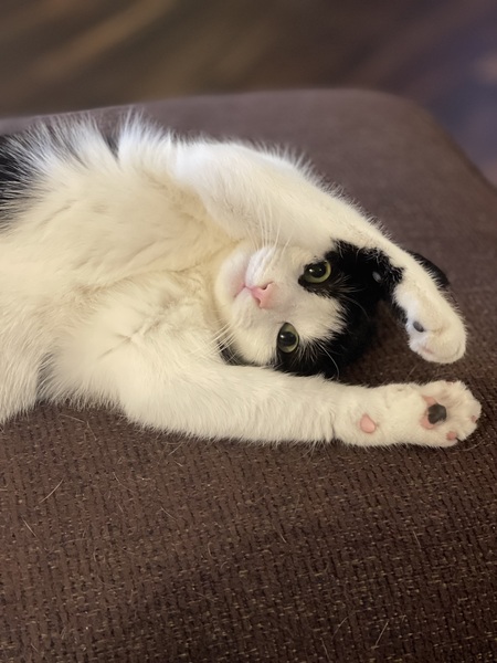 Kiki