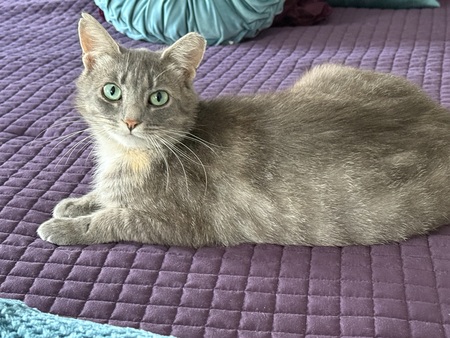 Gracie