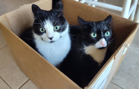 Squirt and Saulie