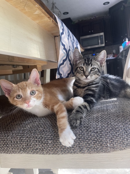 Carter and Ziggy