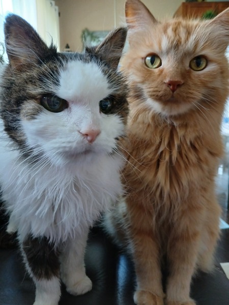 Belle & Theodore
