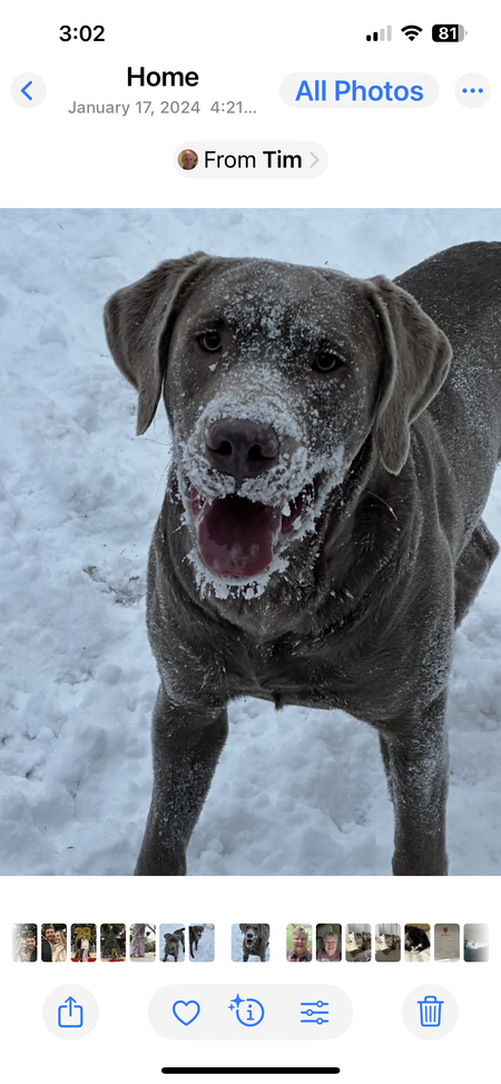 Axel 