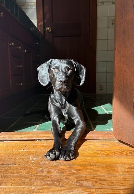 Molly