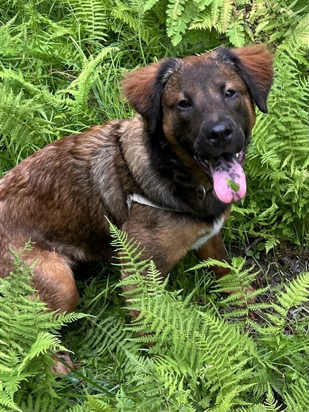 Ellie 