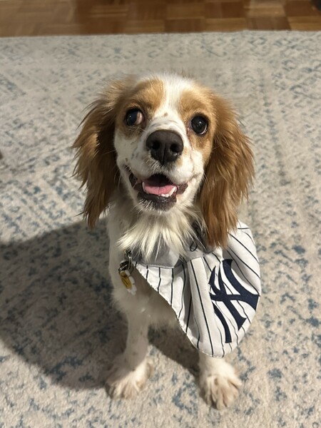Bonnie