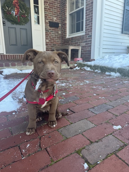 Winnie