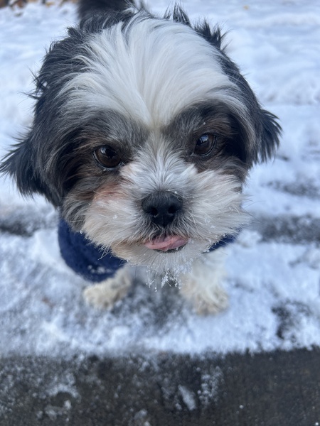 Juno