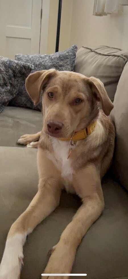 Maggie