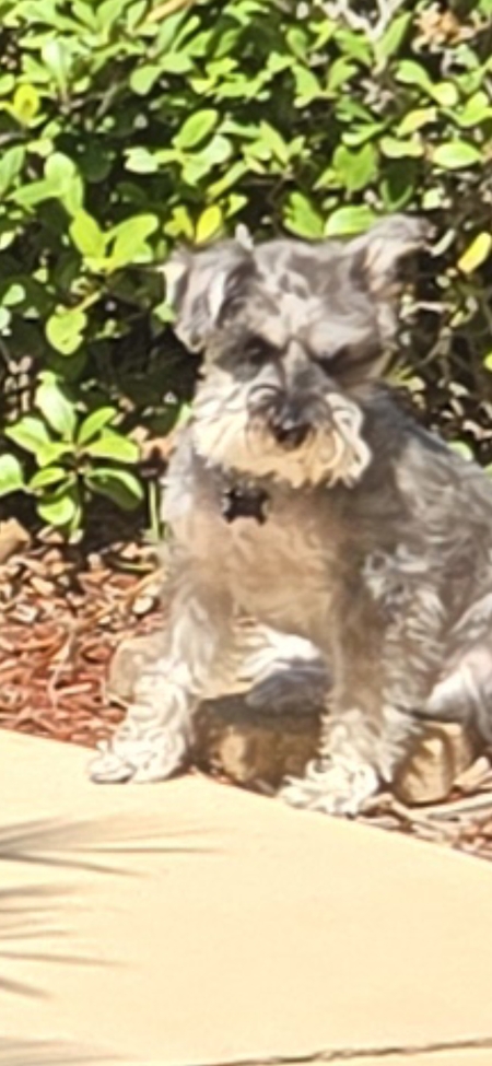 ELLIE MAE