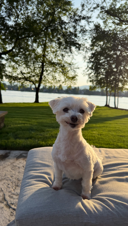 Pippa