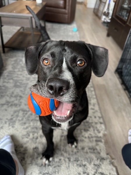 Monty
