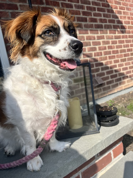 Nala