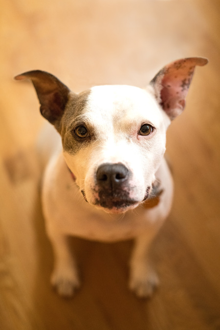 Ellie Mae