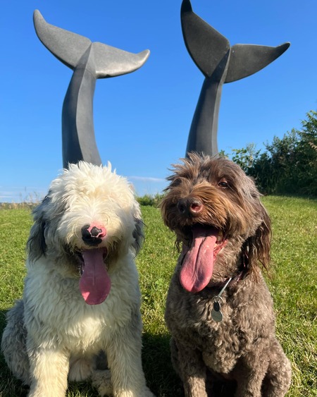 Ralph & Dottie