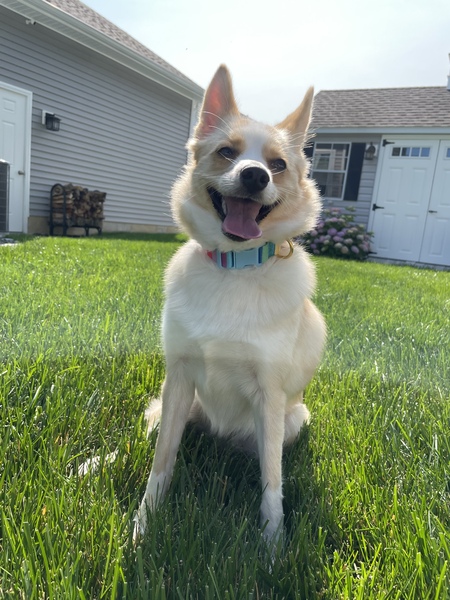Juni