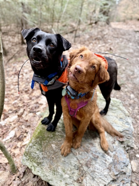 George & Emmit