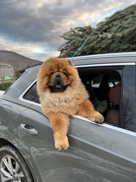 Leo