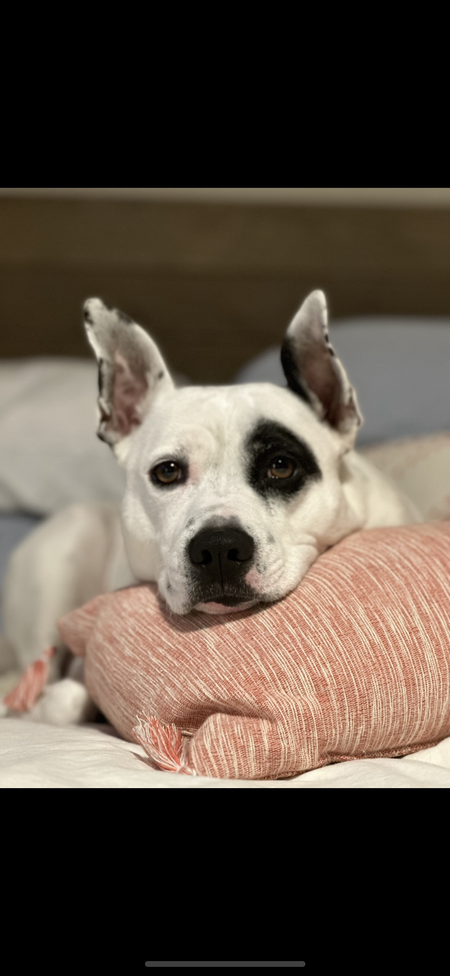 Georgia 