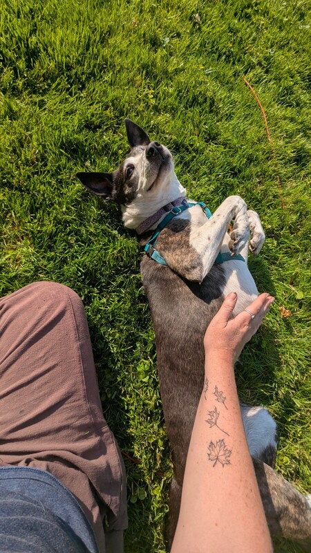 Zoey