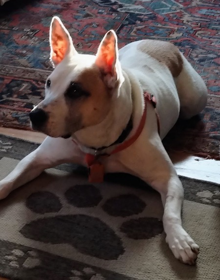 Ellie