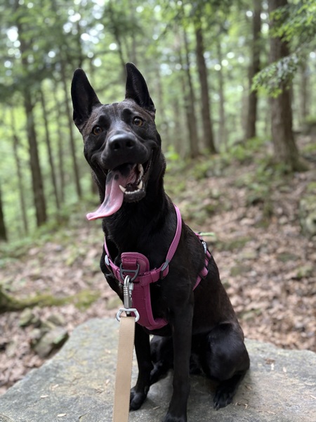Lucy 