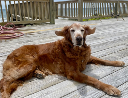 Marley